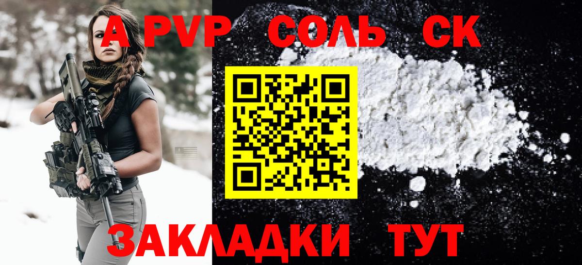 Alfa_PVP СК Тосно