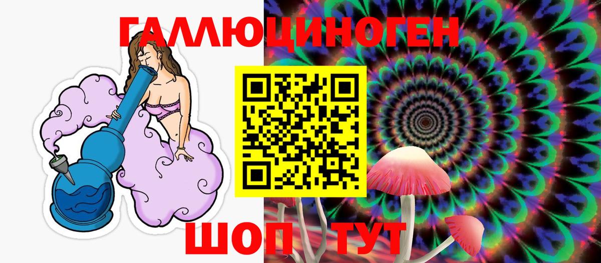 Псилоцибиновые грибы MAGIC MUSHROOMS  Галлюциногенные грибы Psilocybe  наркошоп  Тосно  Вход с VPN 